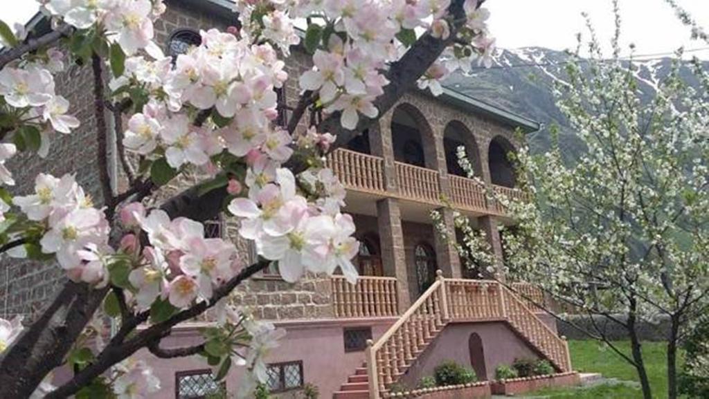 Max Hotel Gogi Alibegashvili Stepantsminda Exterior foto